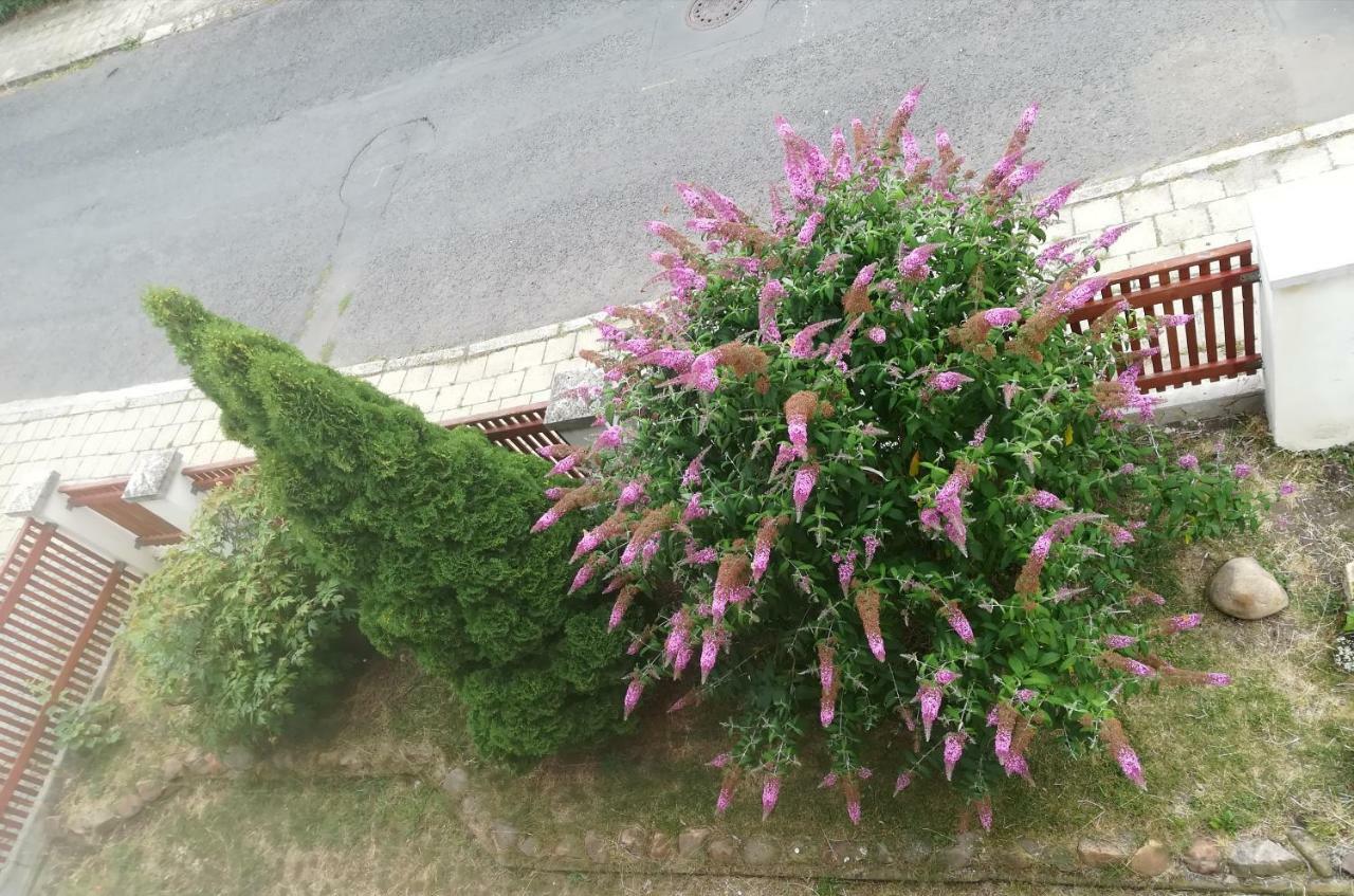 Penzion Flora Жатец Екстер'єр фото
