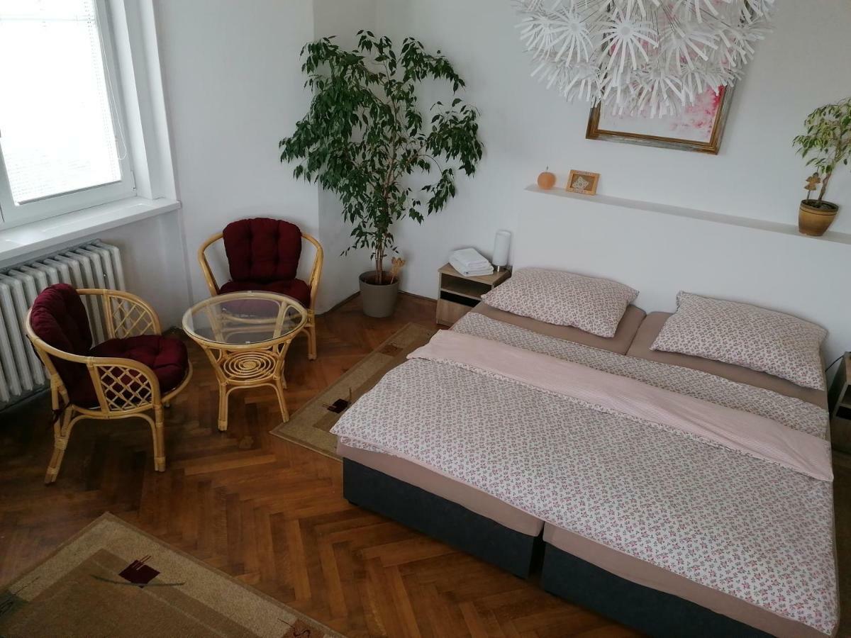 Penzion Flora Жатец Екстер'єр фото