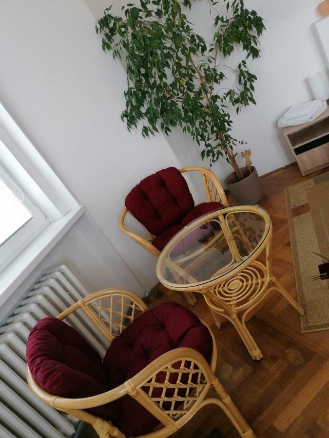 Penzion Flora Жатец Екстер'єр фото